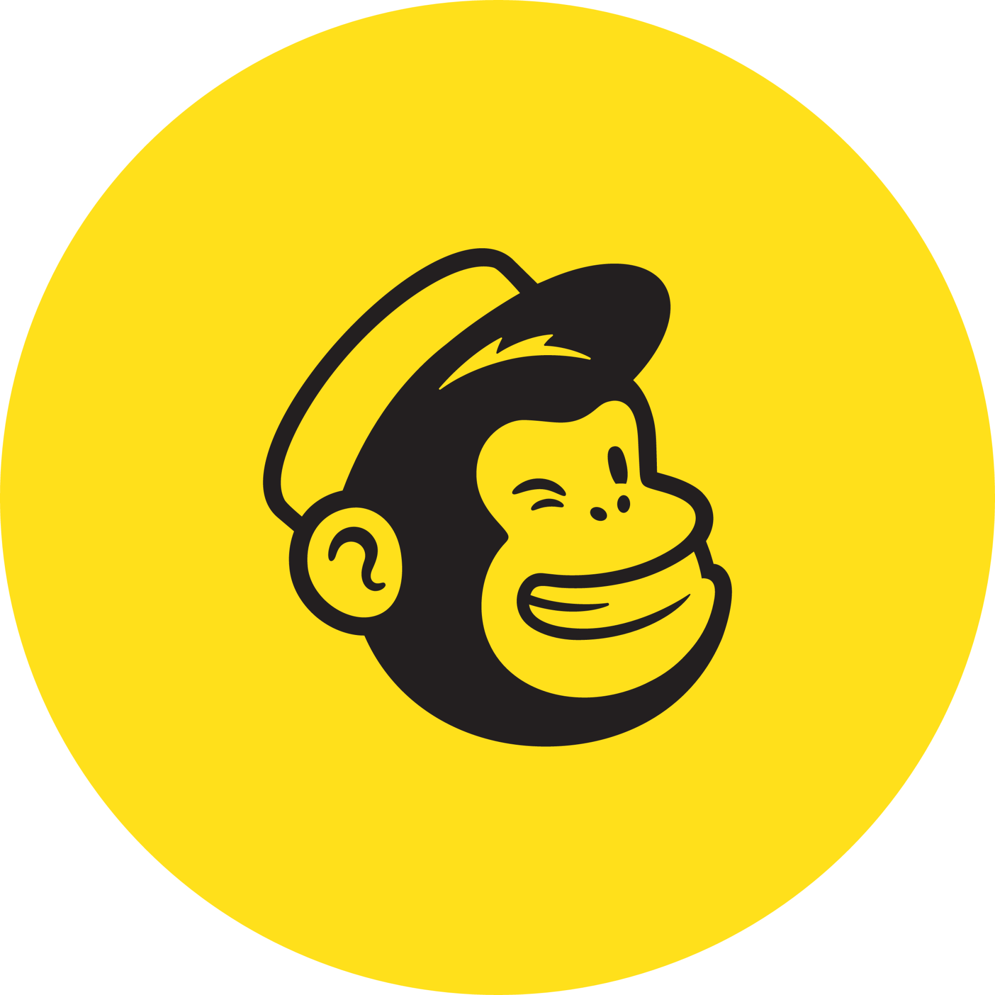 mailchimp icon 2048x2048 7tjwbg42