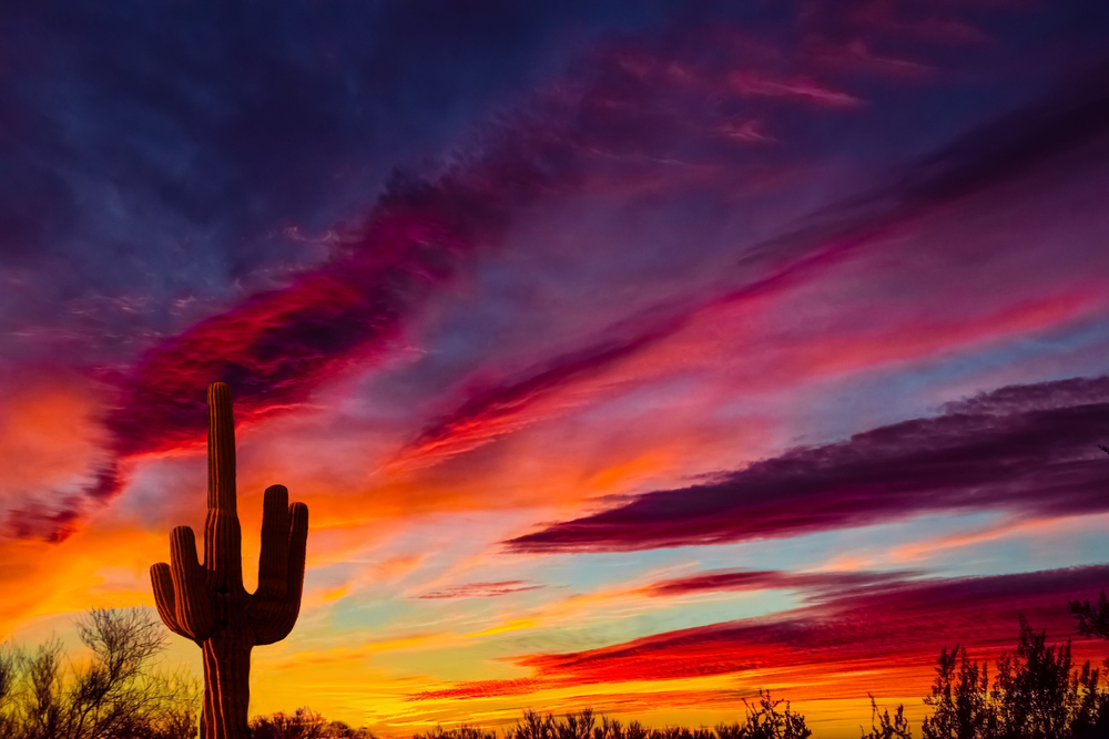 Why the Rebrand: From Red Ocean to Desert Heat 1 shutterstock 426493405