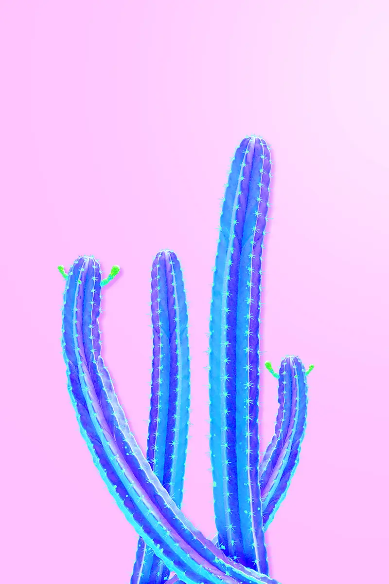 blue neon cactus