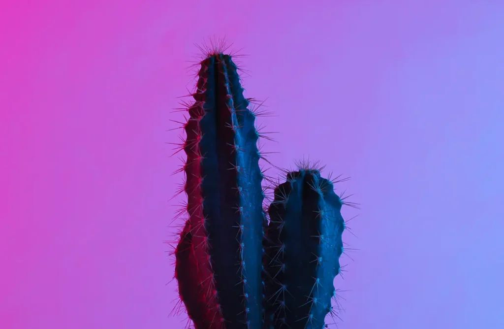 shutterstock 1742499998