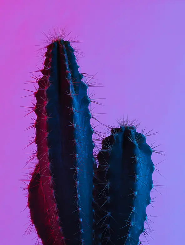 shutterstock 1742499998b