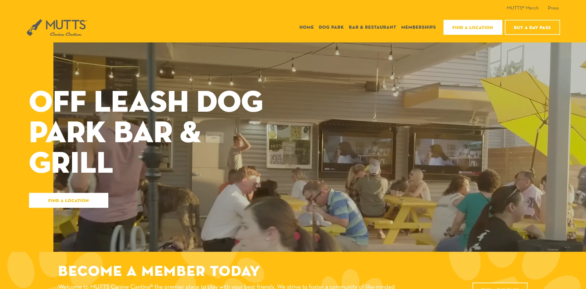 Screenshot 2025 08 19 at 21 08 58 Our Pet Friendly Bar Lets You Eat Drink With Your Pup MUTTS ® Canine Cantina