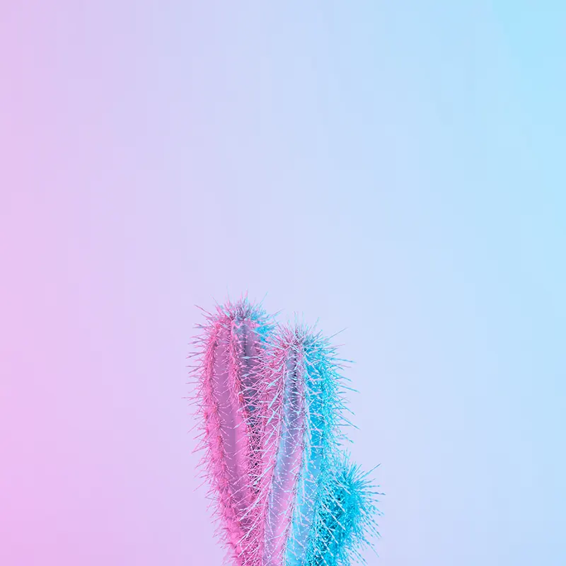 shutterstock 1061344535