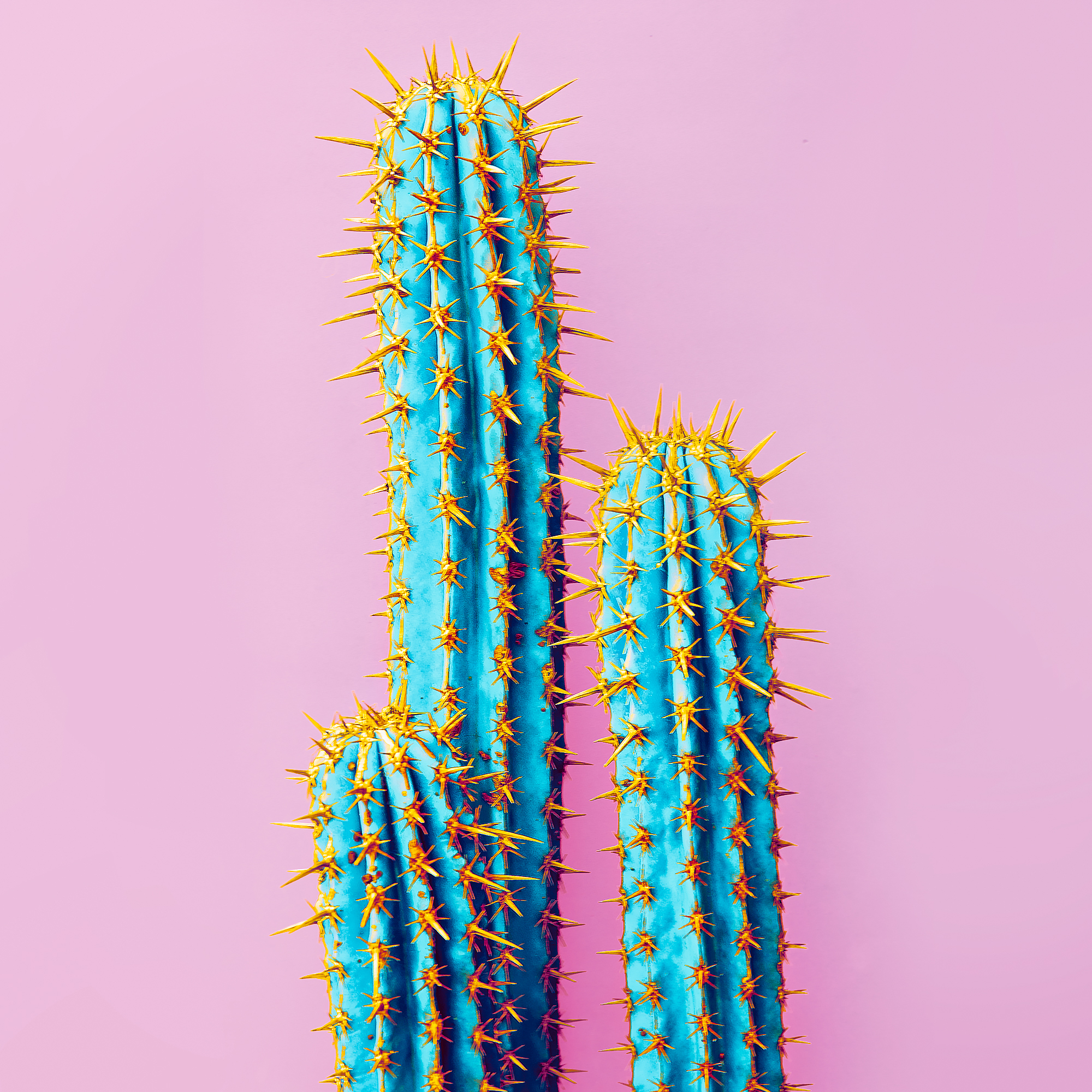shutterstock 621204260